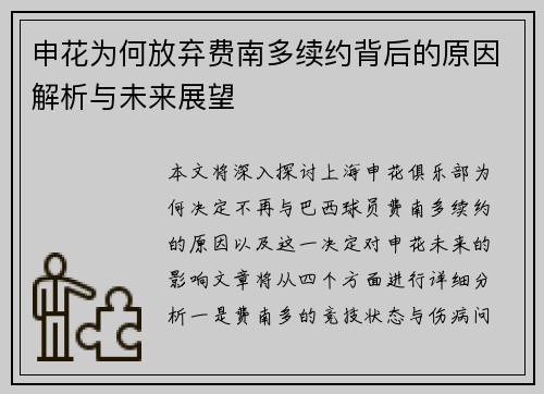 申花为何放弃费南多续约背后的原因解析与未来展望